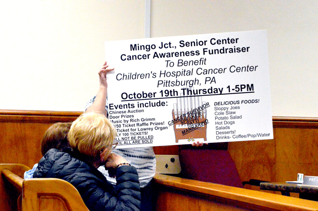 Attorney presents property vacation petition to Mingo Junction Council